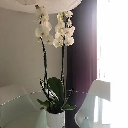 Apartment Oasi Di Piazza Plebiscito Naples